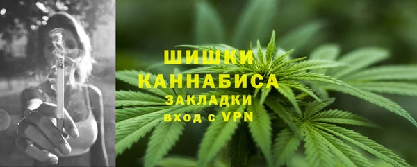 прущие крисы Горняк