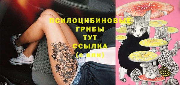 прущие крисы Горняк