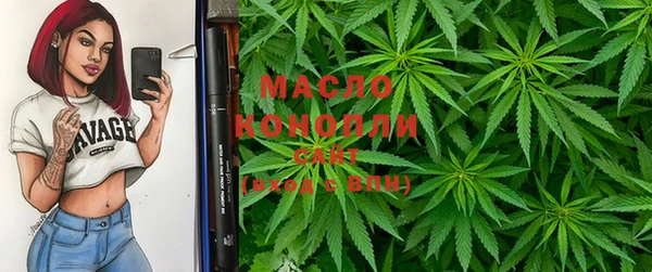 прущие крисы Горняк